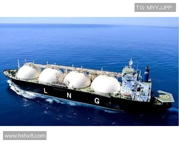 专业解析LNG市场的防御与反击策略探讨 专业解析LNG市场的防御与反击策略探讨